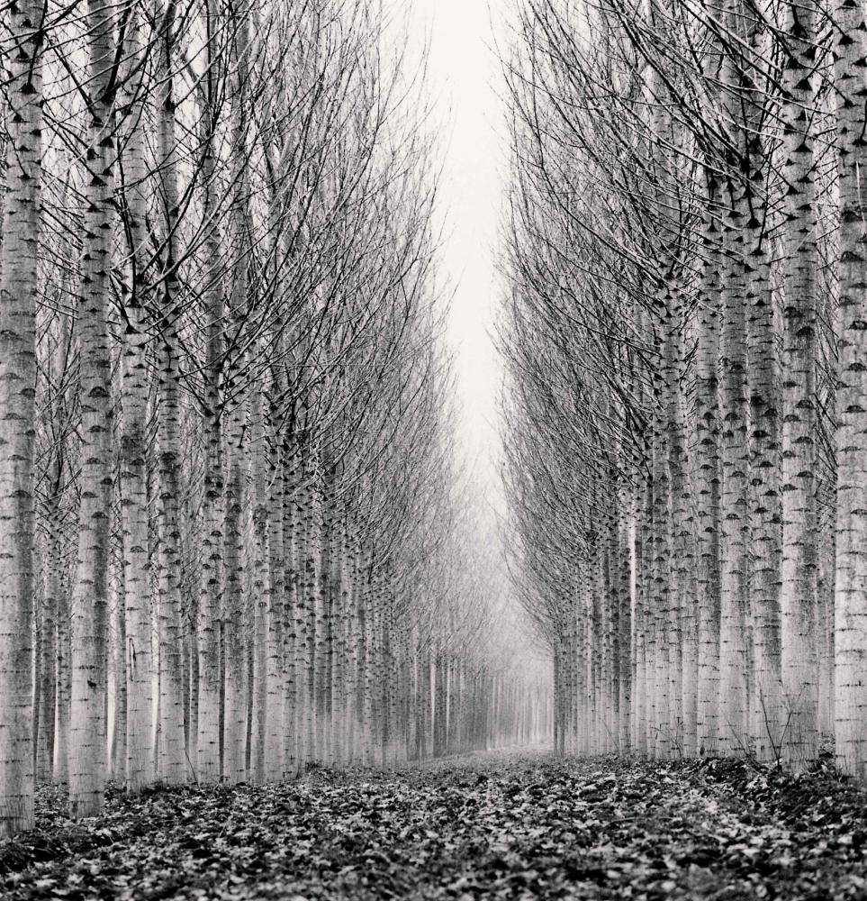 アート・デザイン・音楽 IN FRANCE by MICHAEL KENNA Michael Kenna マイケル・ケンナ Timeless Scape : ギャラリー